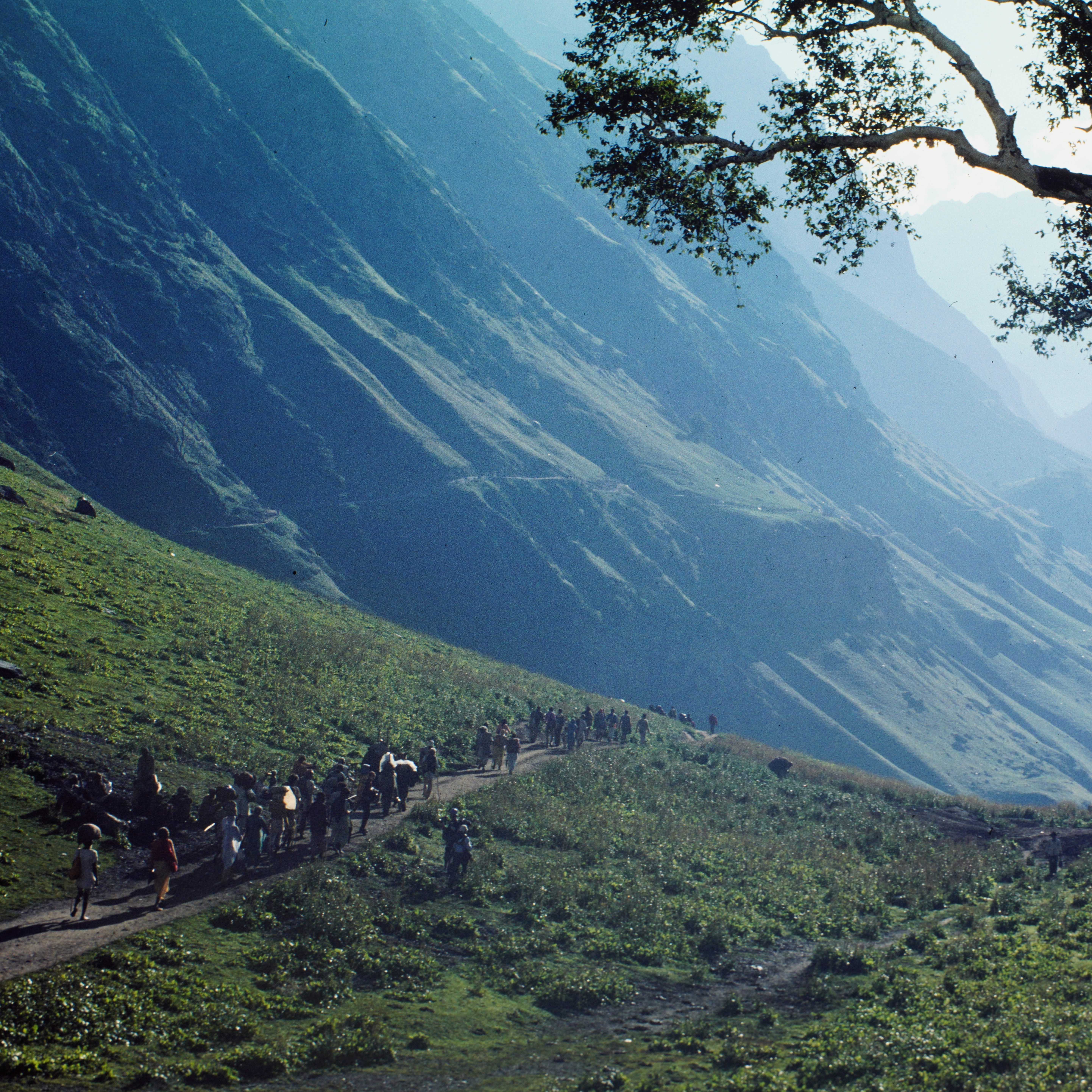 Amarnath – eine Pilgerreise zum Ort der Unsterblichkeit